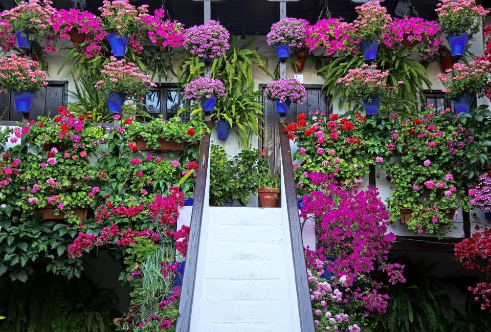 patios de cordoba 2023