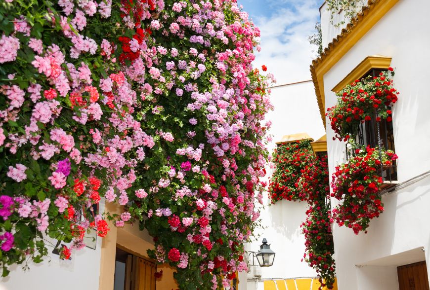 cordoba en mayo